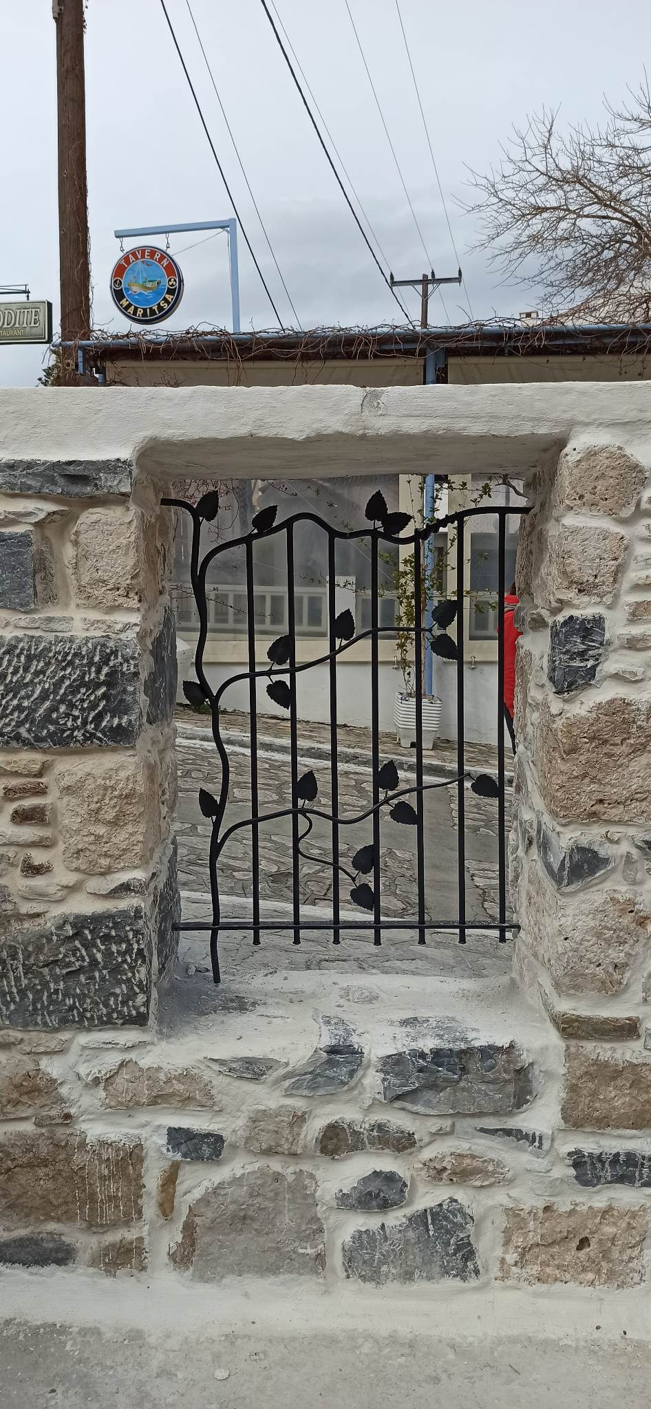 Μπάρες για παράθυρο. Διακοσμητικά στοιχεία που ομοιάζουν φυτό λυκίσκου που μεγαλώνει στο κάγκελο.